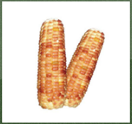 徐州小農仙玉米種植專業(yè)合作社