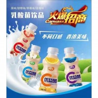 乳酸菌飲品火爆招商